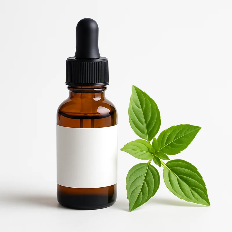 Basil Oil (Kemangi)