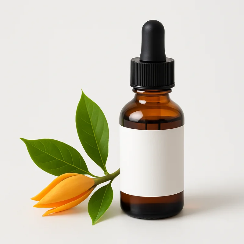 Champaca Oil (Cempaka)