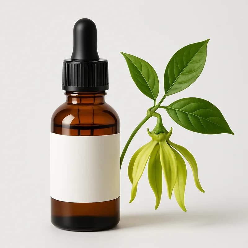 Ylang-Ylang Oil (Kenanga)